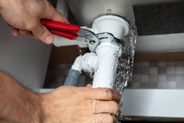 Best Water damage restoration specialists  in New Ellenton, SC