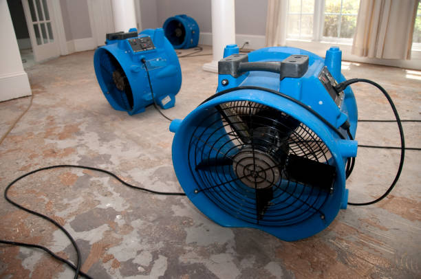 Best 24/7 water damage repair  in New Ellenton, SC