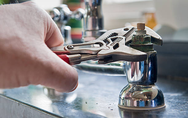 Best Water damage restoration mold remediation  in New Ellenton, SC