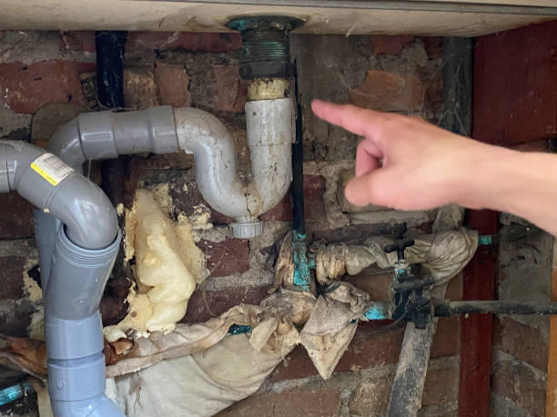 Best Carpet water damage restoration  in New Ellenton, SC